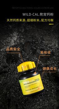 鬃狮蜥缺钙怎么办