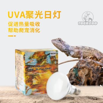 鬃狮蜥uvb灯uva灯陶瓷灯（夜灯）怎么选择